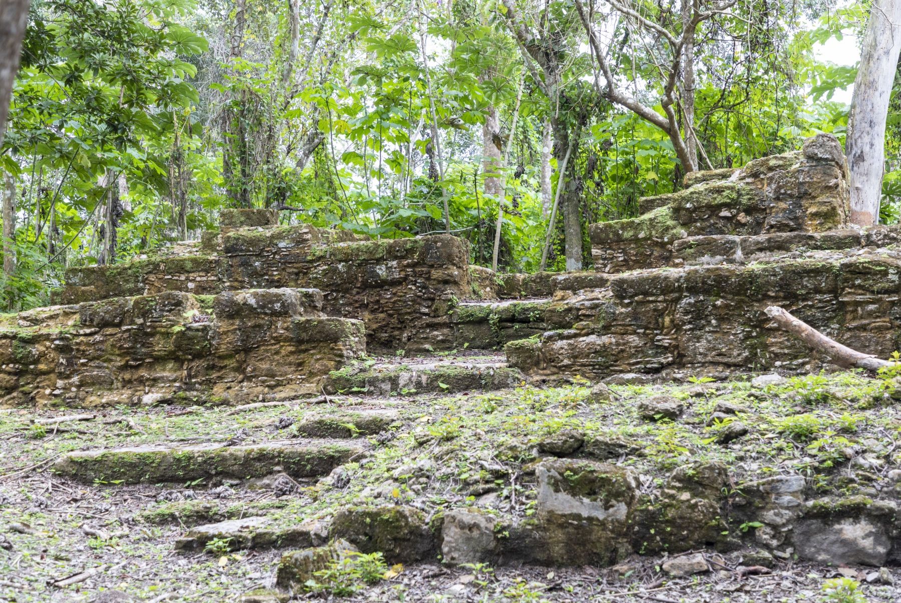 El Pilar Mayan Ruins, Cayo District, Belize
